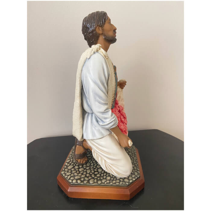 juan diego 12"